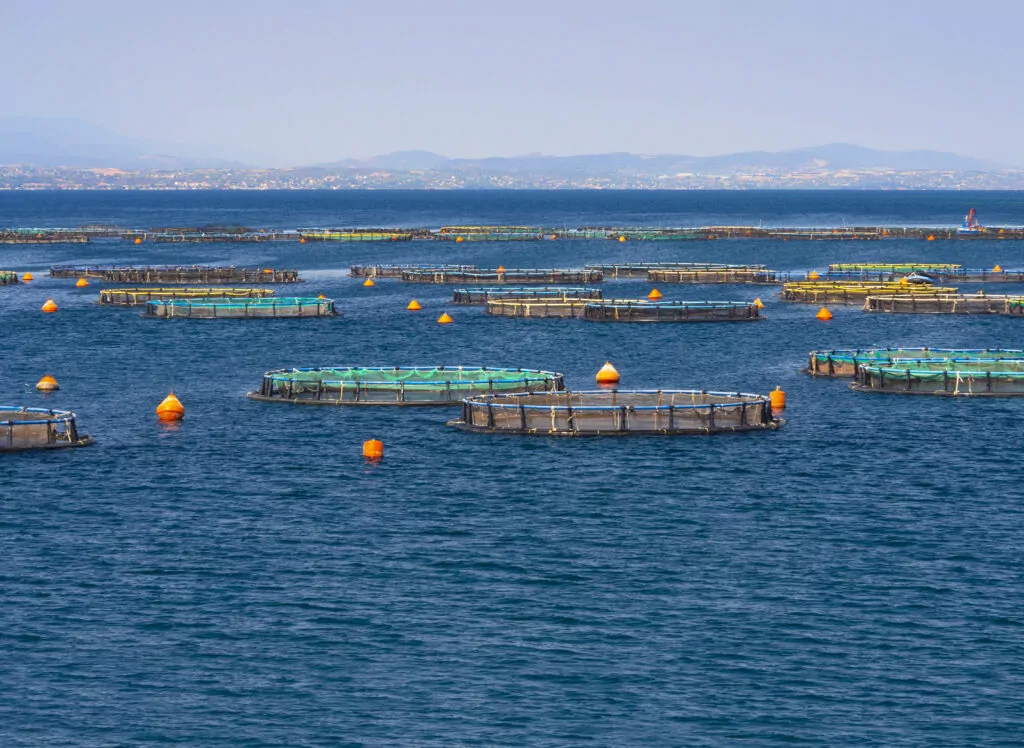 challenges of aquaculture